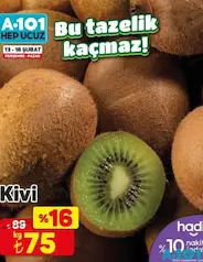 KİVİ KG KİVİ KG